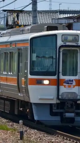 Kimuchi 1700の広場