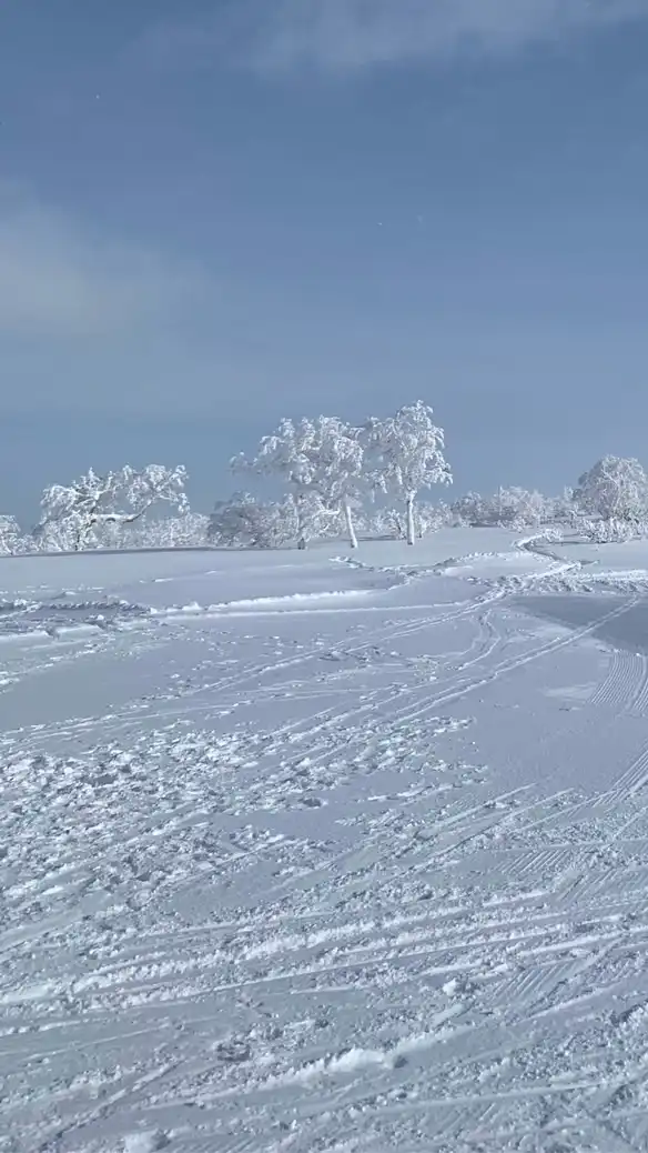 北海道大人のスノーボーダーのたまり場