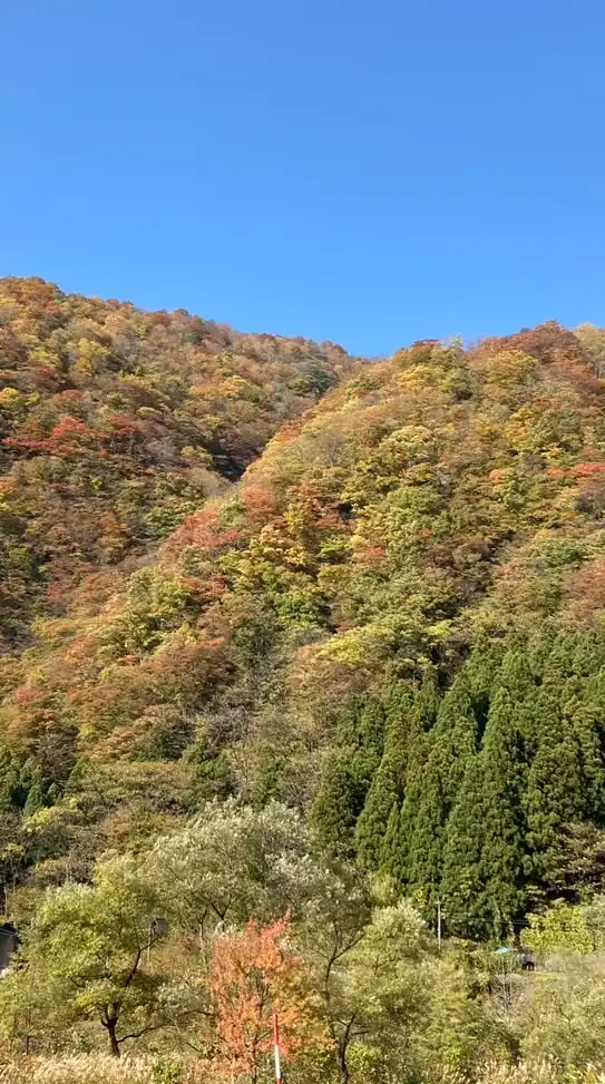 ヒカマニ宣伝国避難所【ヒカ宣】