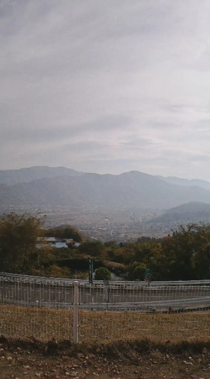 愚痴部屋･けもの道
