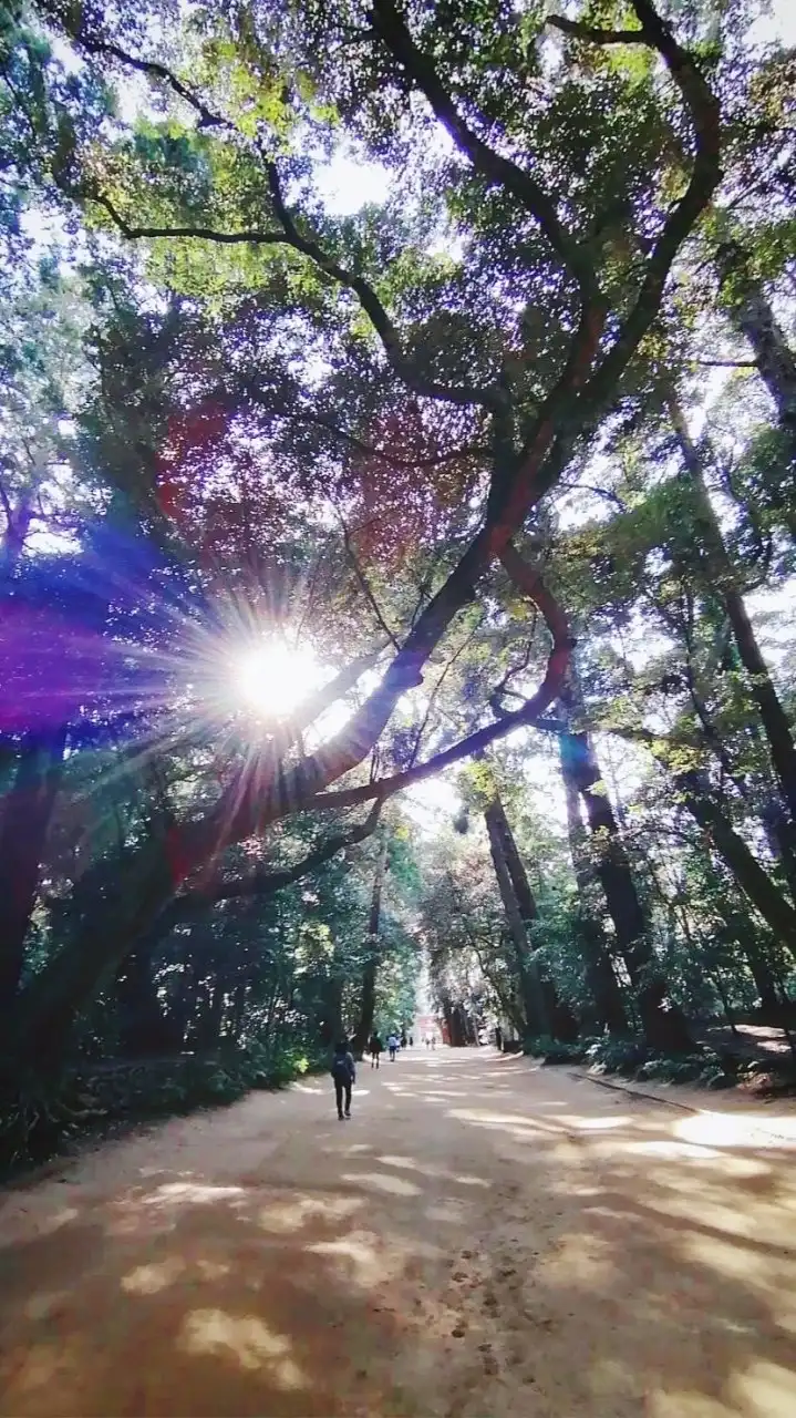 🐒⛩️神社仏閣⛩️🐒✨🧚‍♂パワースポット🧚‍♂✨旅行✨時々禅語✨心通わせ思いやりのある毎日を🧝‍♀️