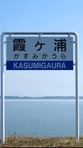 霞ヶ浦水系バス釣りチャット