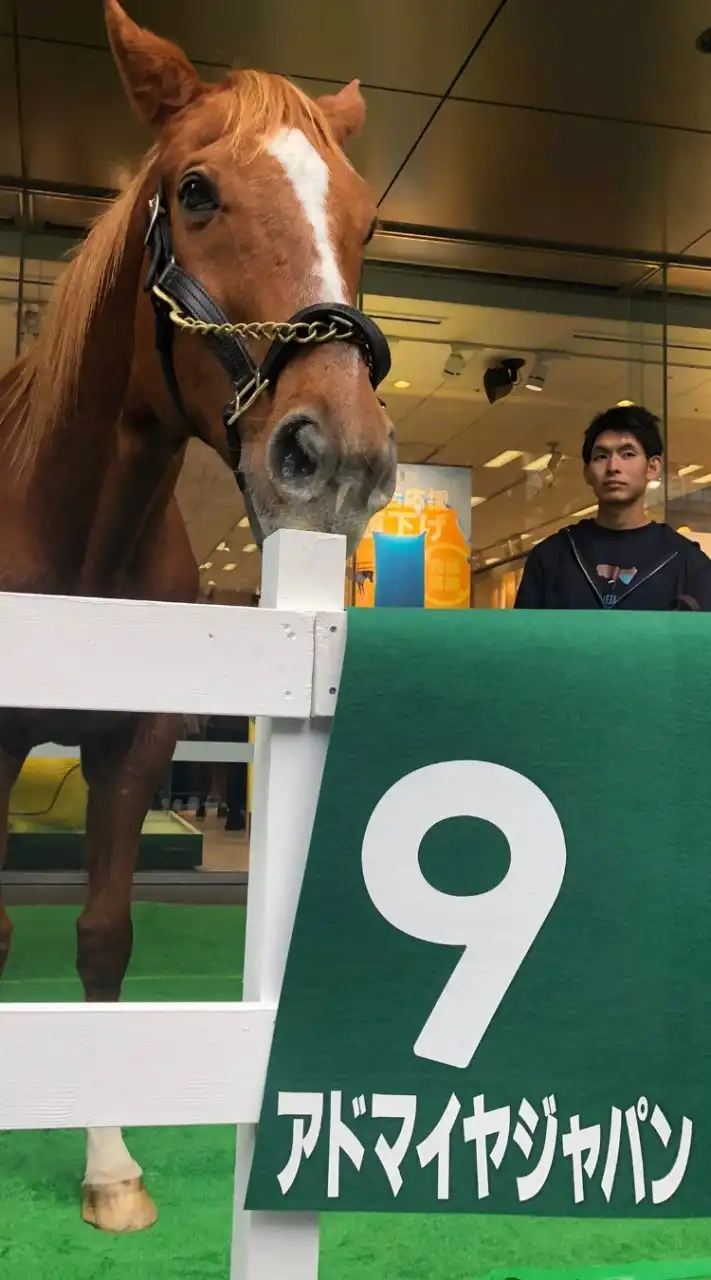 競馬・雑談コミュニティ