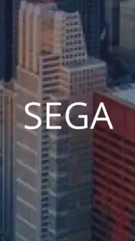 SEGA（セガ）_選考対策グループ