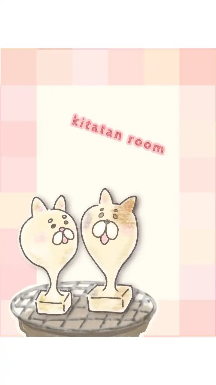 １月🚤常滑のキタタン【競艇研究所】