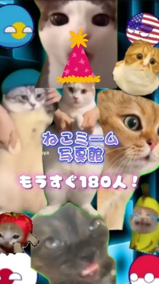 猫ミーム写真館【雑談・素材共有・他界隈•宣伝OK！】