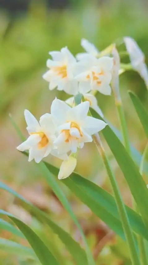 和みの写真部屋🍀『トークも🆗』
