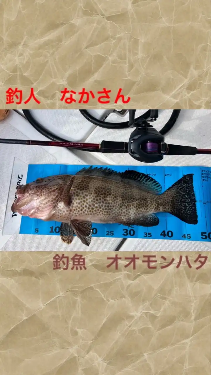 ロックフィッシュ  根魚  釣り