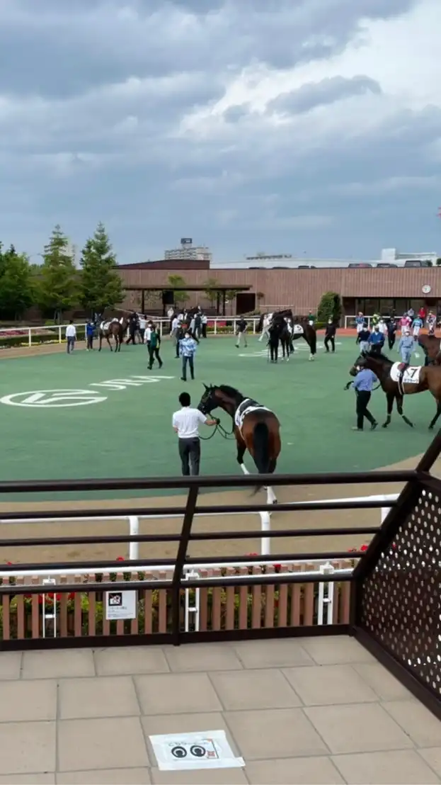 タクロー競馬オプチャ