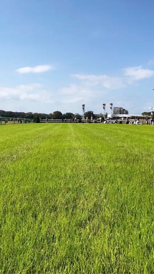 のんびり競馬　時々競馬場in関西