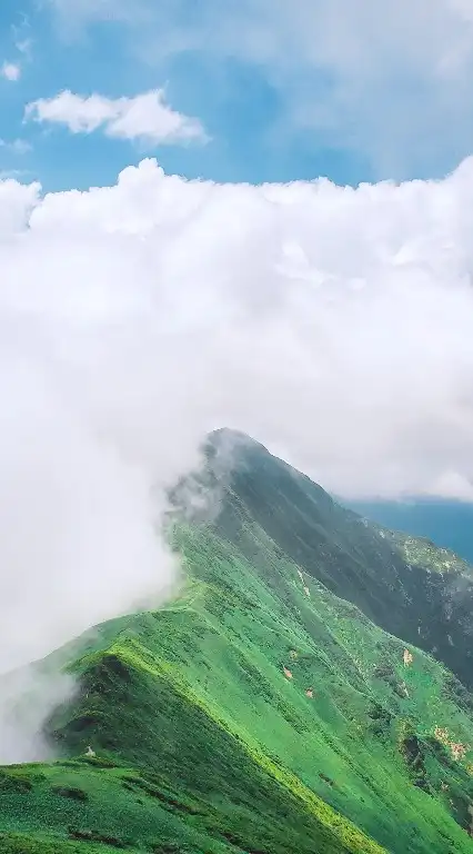 🌳🌳みんなで楽しく山登りしませんか?〰