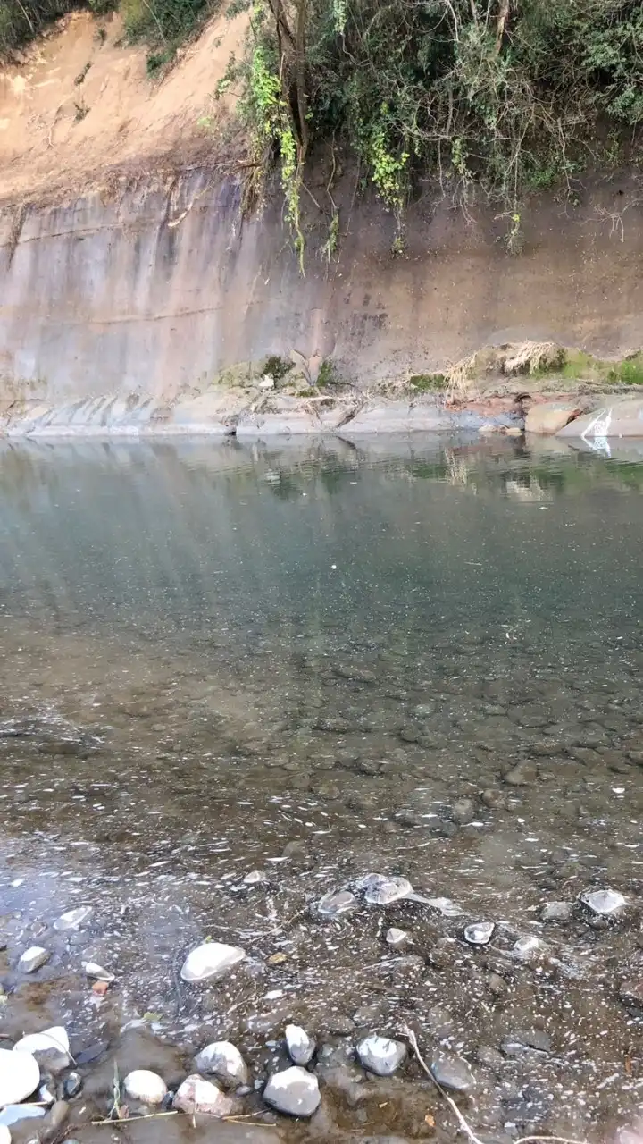 バス釣り〔多摩川〕