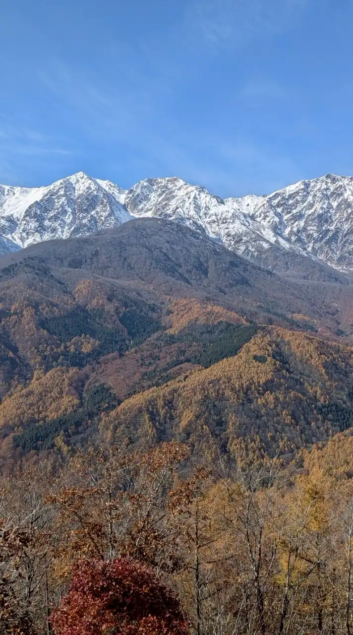 上信越（群馬・長野・新潟）登山部🌸⛰️🍁🏔️🍀