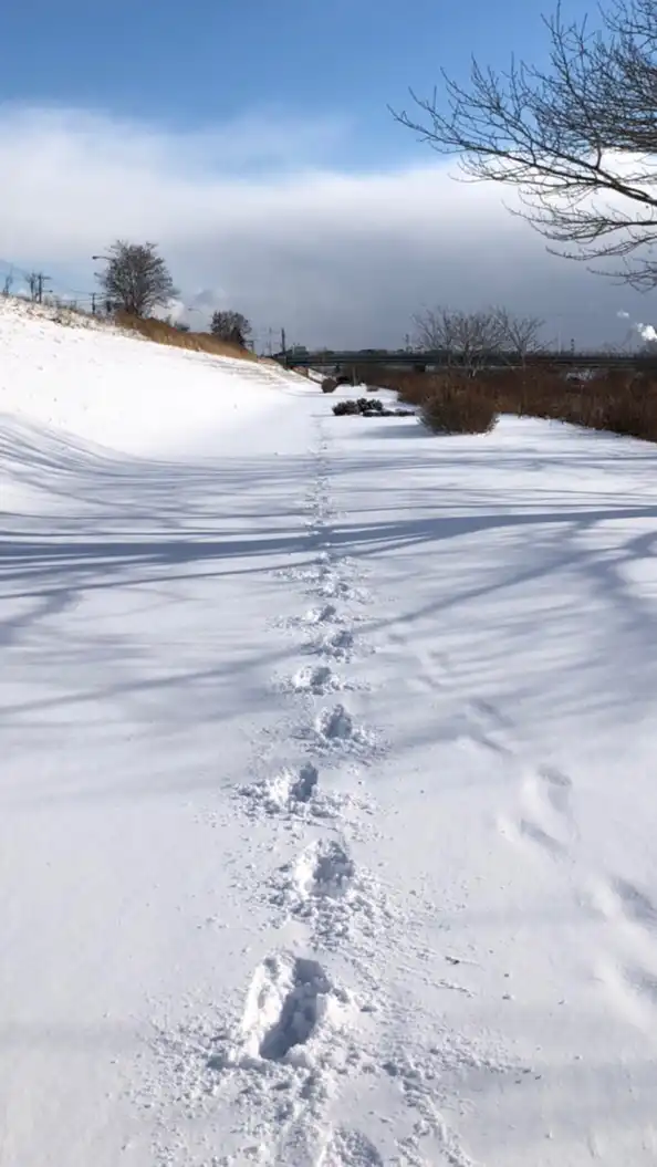 北海道ランナー🏃‍♀️🏃‍♂️🏃