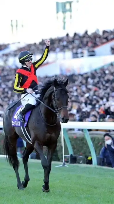 【AJCC/プロキオンS/小倉牝馬S】競馬雑談(予想等)