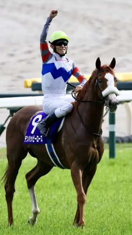 【ヴィクトリアM/京都HJ/新潟大賞典】競馬雑談(予想等)