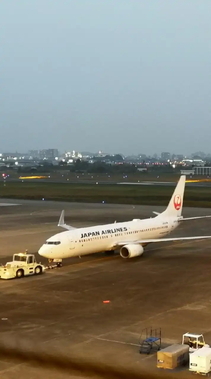 ✈️【新卒】JAL志望 ✈️CREWNET