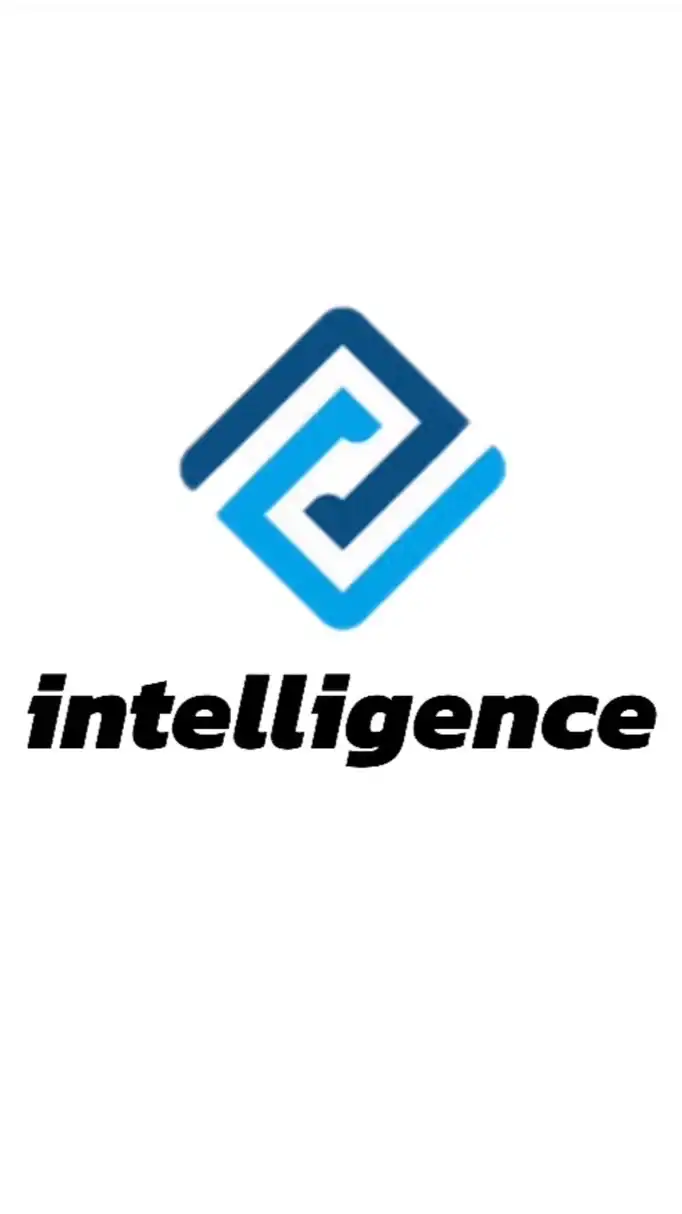 カーパーキングマルチプレイヤー Team Intelligence