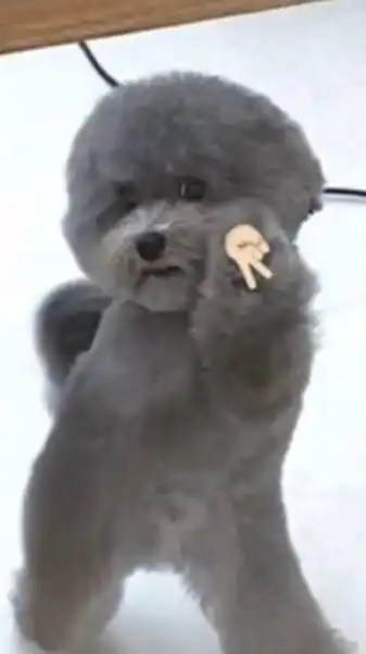 本気で歌い手になりたい人募集！！