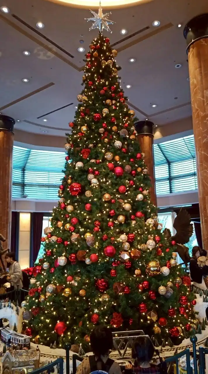 目黒碑文谷テニス会(硬式)🎾はじめて〜中級者まで😊特に🎾はじめての方の参加を歓迎します🤗