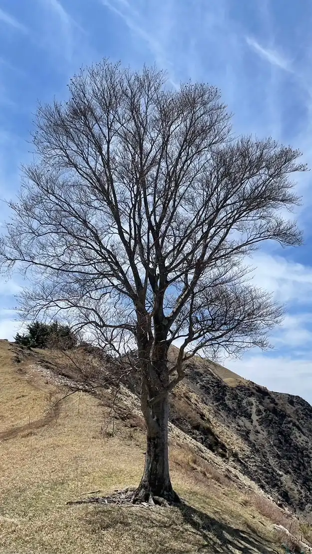 楽しい日帰り山登り