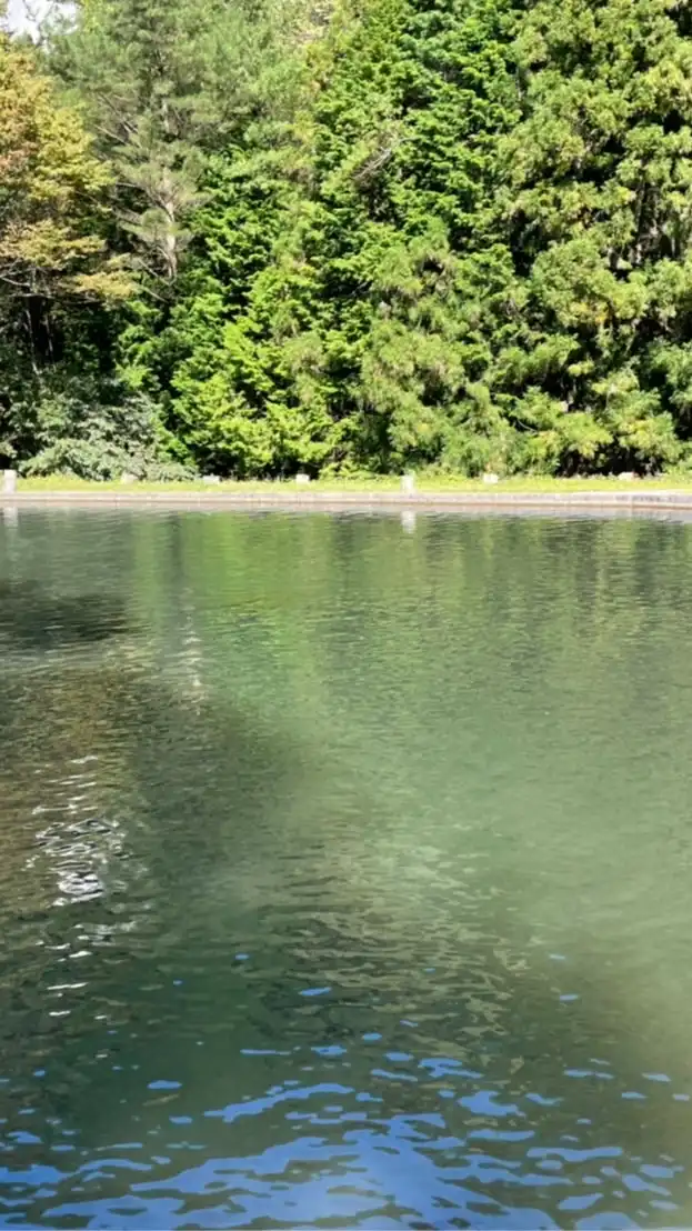 🎣‬西日本管釣りトラウトサークル🦈