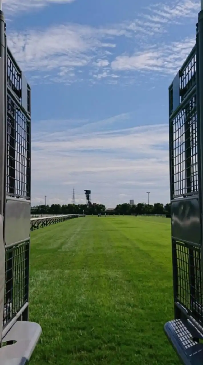 【競馬サロン🏇やぴ✨7月度】