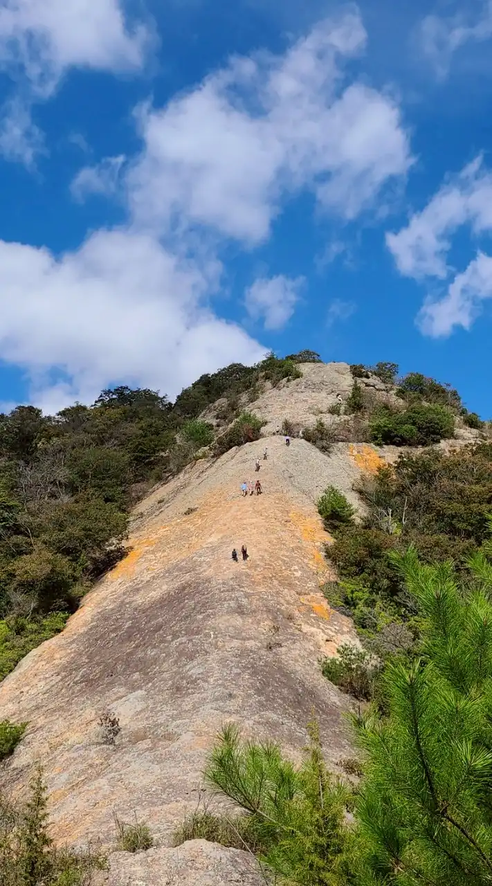 ゆる山🌻関西　ハイキング＆登山🚶の会