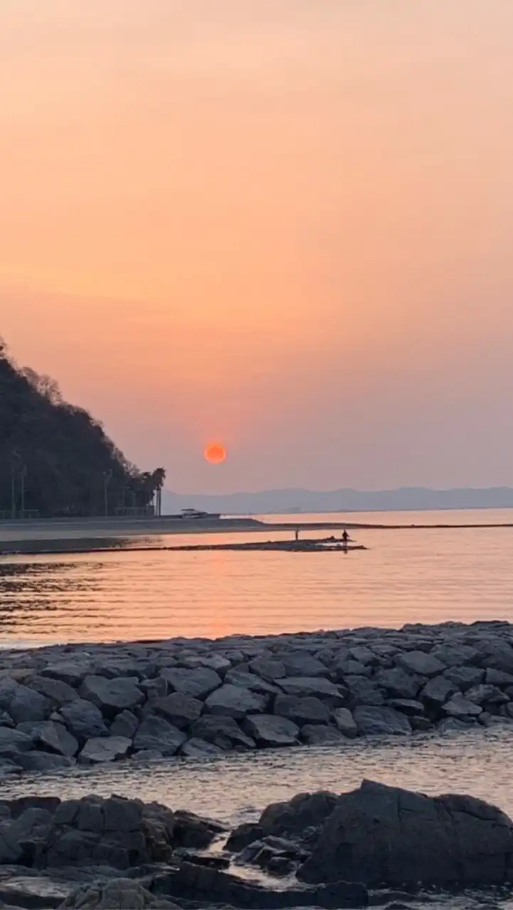 「愛知、三重、静岡」の釣り好きの為の情報交換所