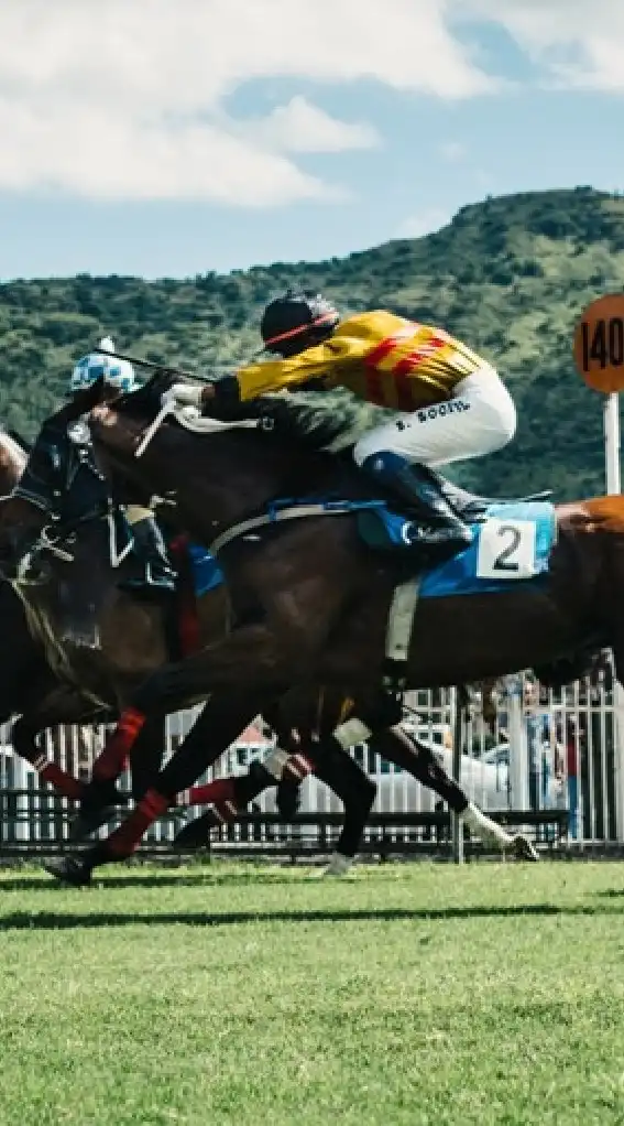 中央競馬＆地方競馬　楽しくあそびましょう✨の集い