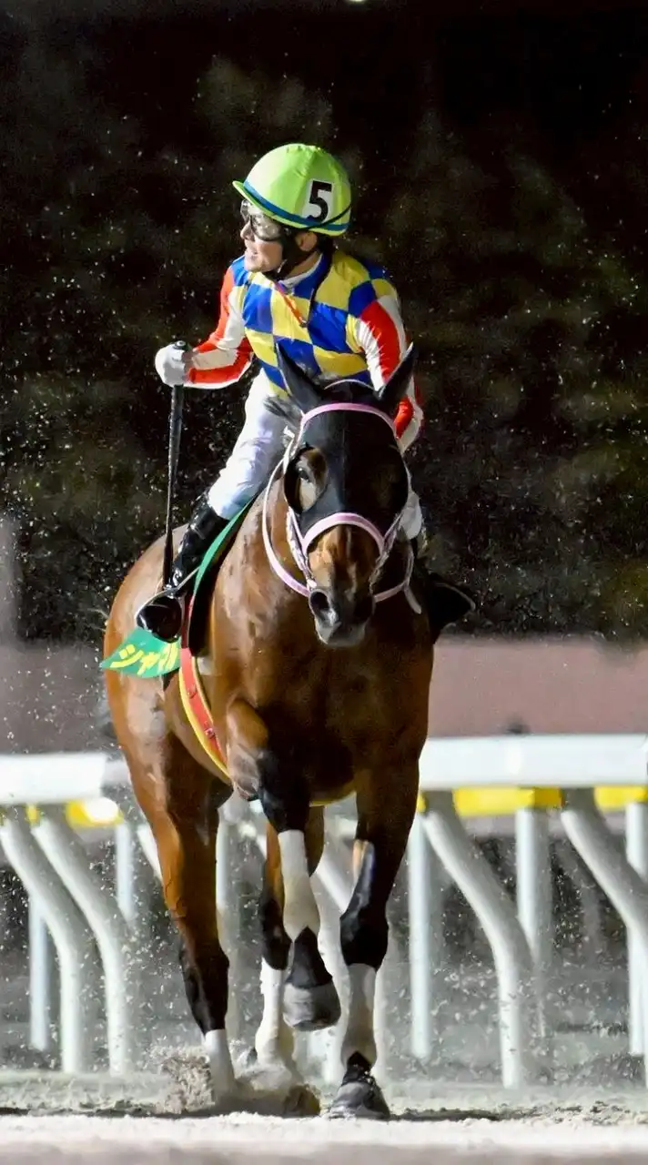 トリプルWIN🐴