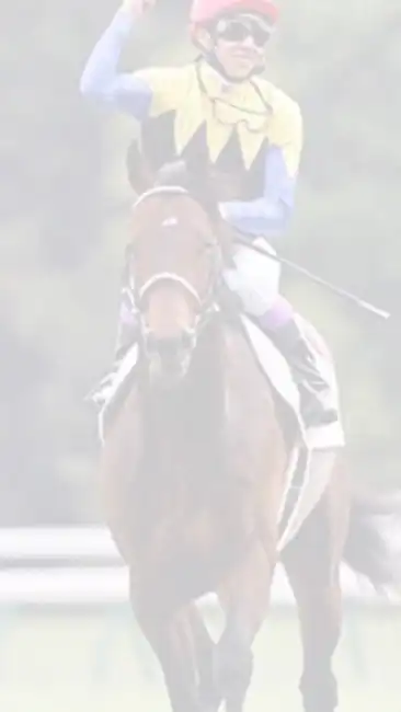 有馬記念【裏読み】道中平均ラップの法則