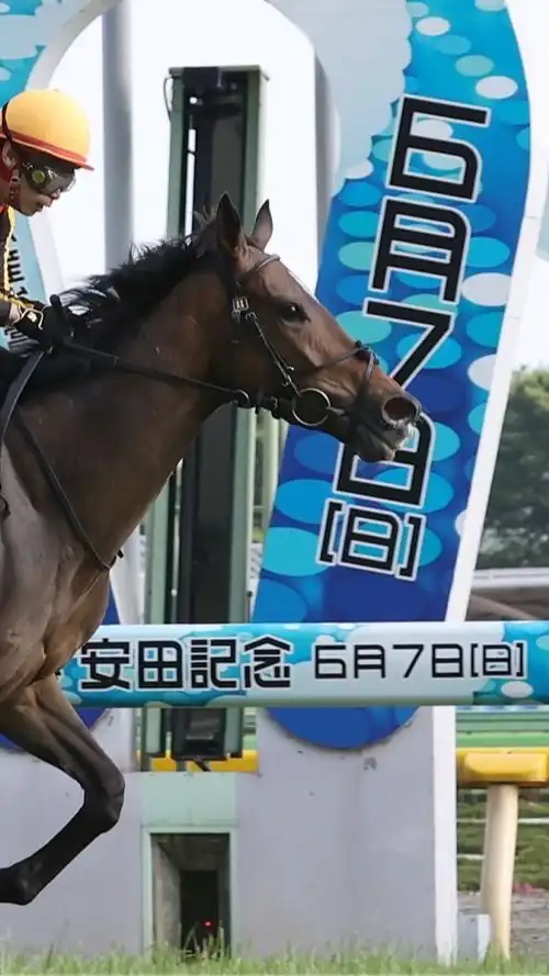 金堀競馬研究所（旧:マーリン競馬） 🐎