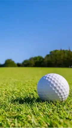 【千葉県】20〜30代ゴルフ仲間作りましょう⛳️🏌️‍♂️🏌️‍♀️