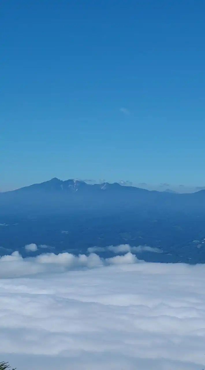 ゆる山🌻関西　ハイキング＆登山🚶の会