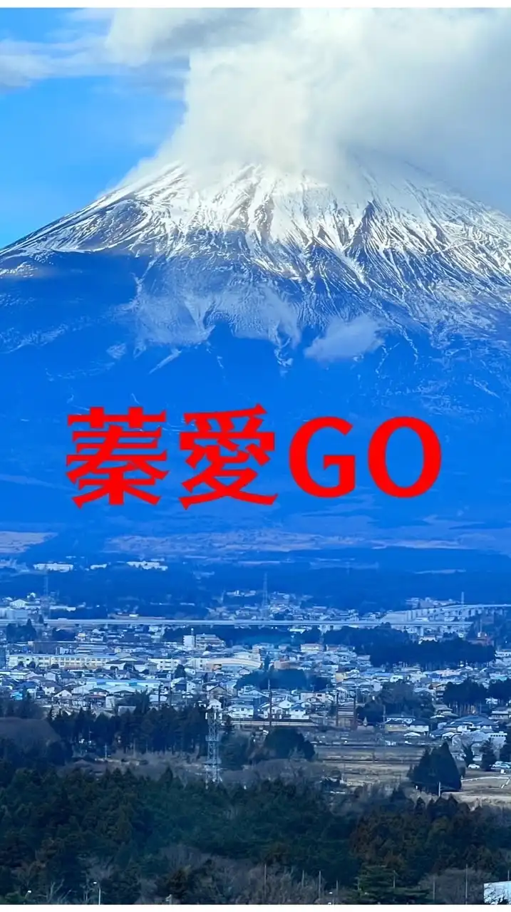 日本專業代購（蓁愛購）