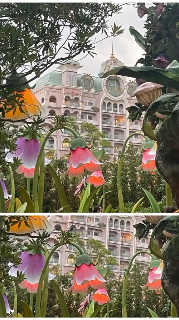 1人ディズニー派です