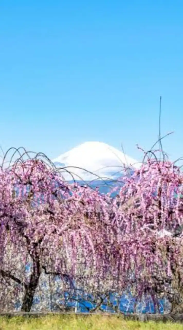 生活保護相談所