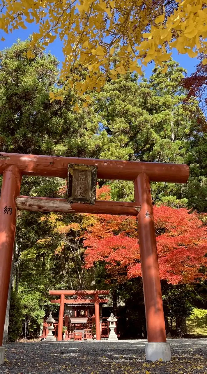 ⛩️神社やお寺が好きです♥️雑談もありの気楽な✨オプへようこそ🪷⛩️🫱