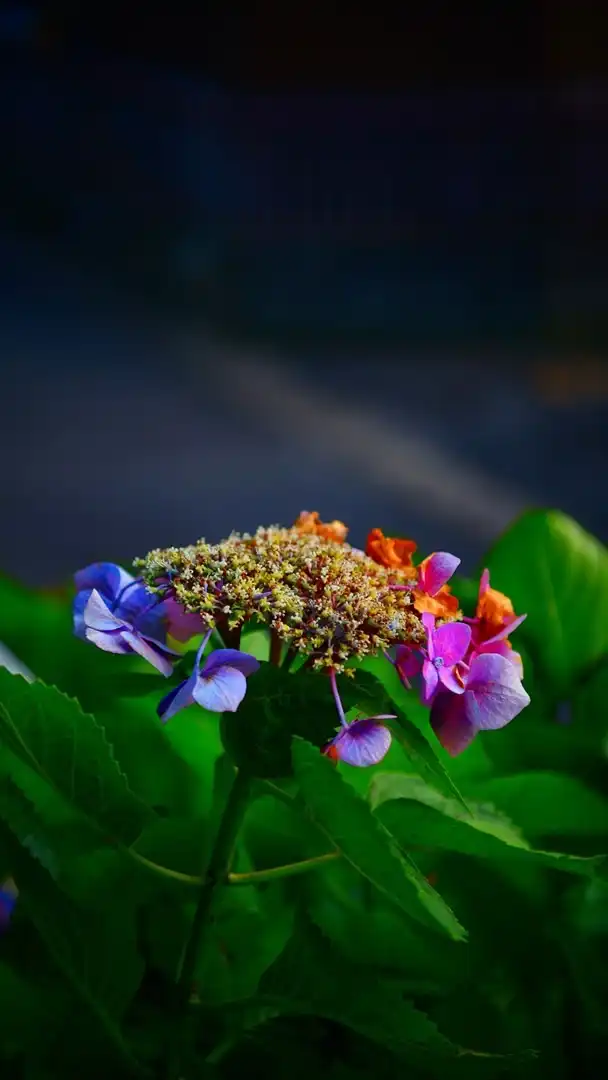 宣伝可能無法地帯