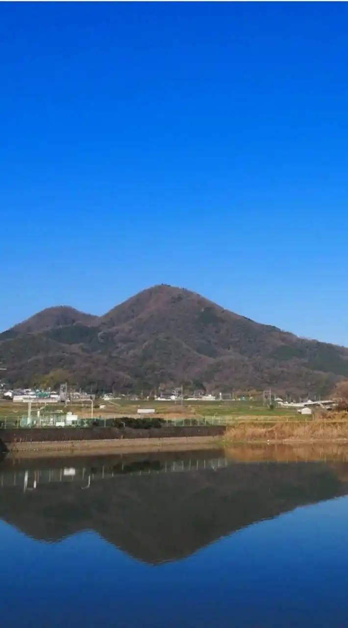 花の百名山 二上山 グループ