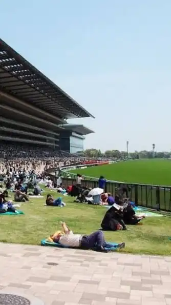 馬・競馬好き集まろう🐎