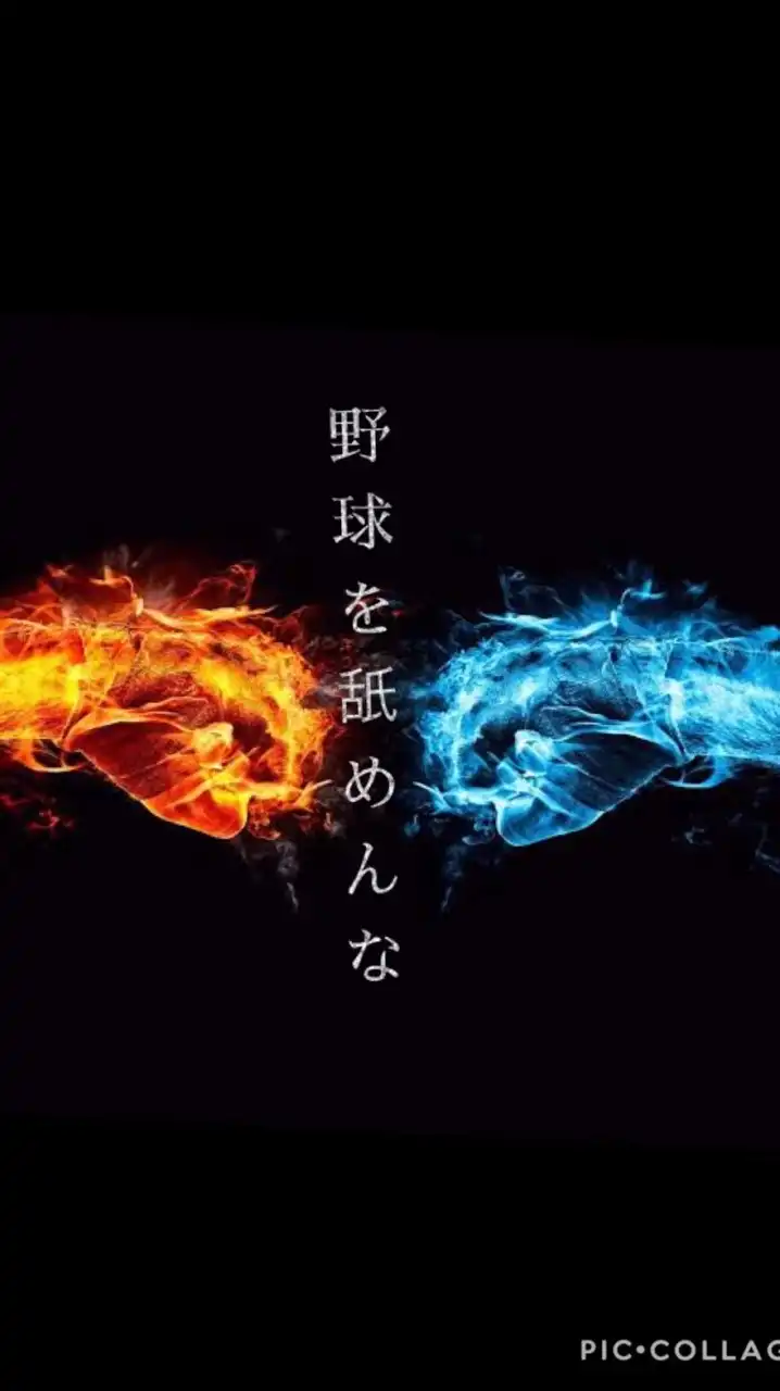 ガチの野球好き