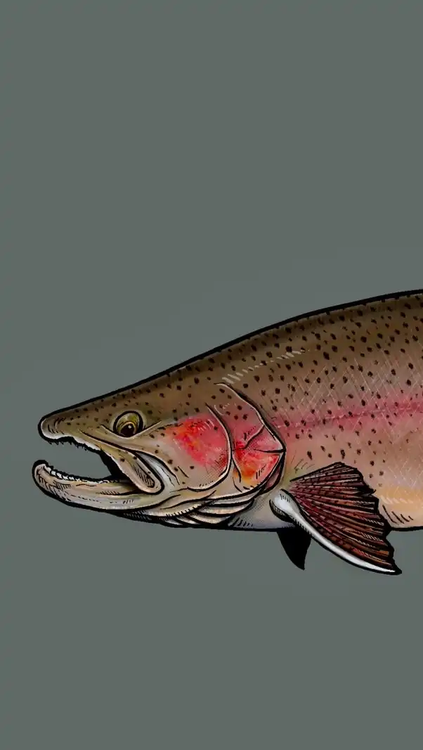 Trout Jackass