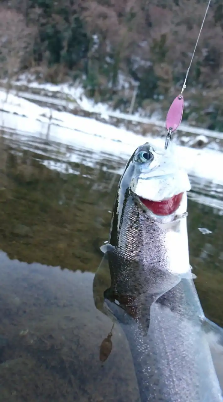 管釣りルアー(神奈川県、静岡県、山梨県)