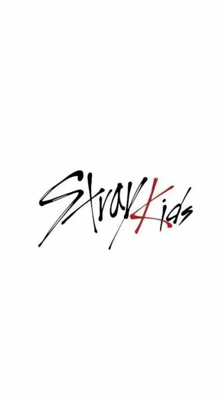 ~straykids推し~