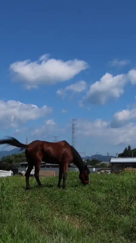 このはな牧場日記