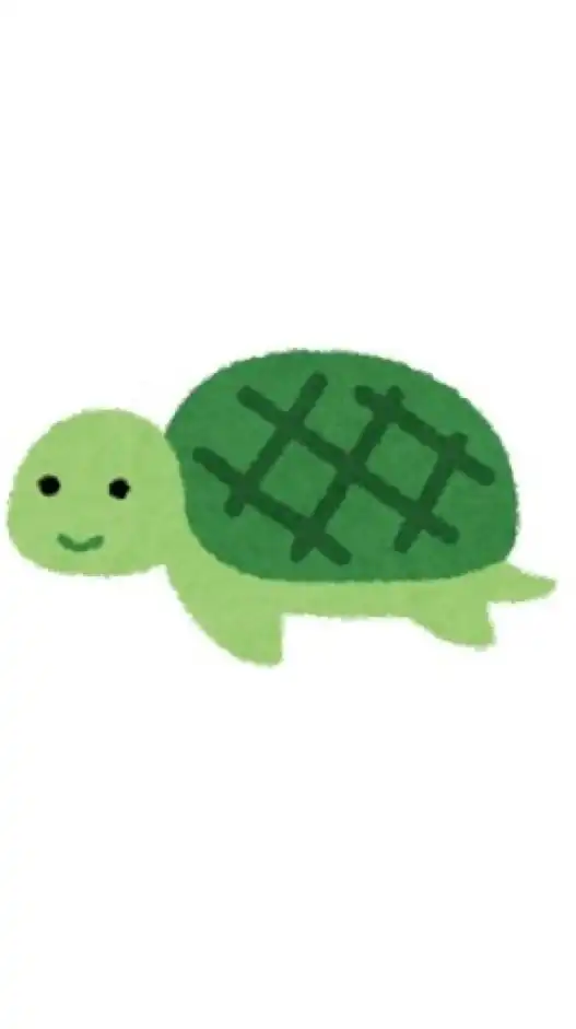 コガメ組🐢