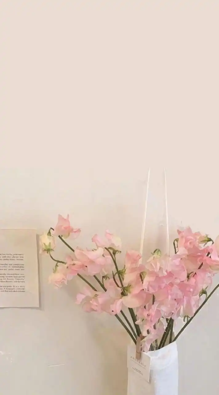 Sara |雑談なし|配信用|無料在宅ワーク🌷モニター紹介