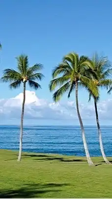 MAHALO GOLF⛳️🌴
